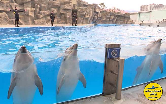 مشخصات ساختمان دلفیناریم باتومی گرجستان