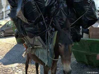 حیوان‌آزاری برای مقاصد گردشگری
