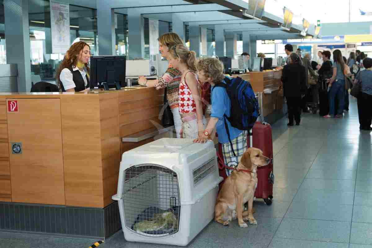 قوانین حمل حیوانات با هواپیما